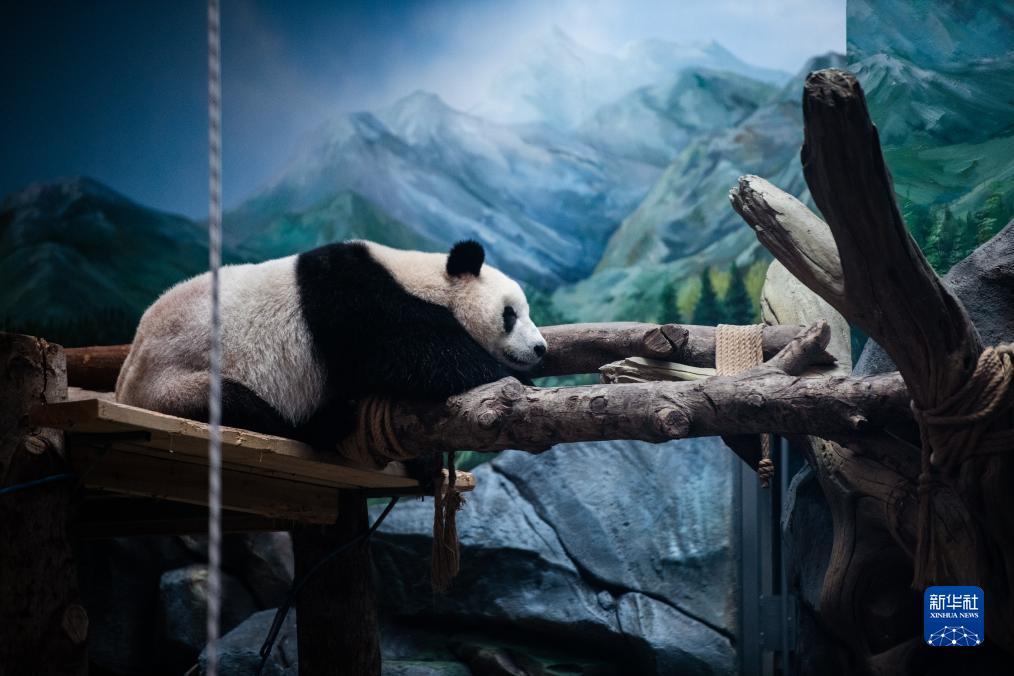威尼斯人游戏